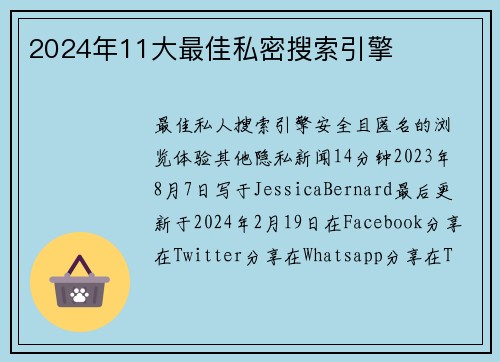 2024年11大最佳私密搜索引擎 